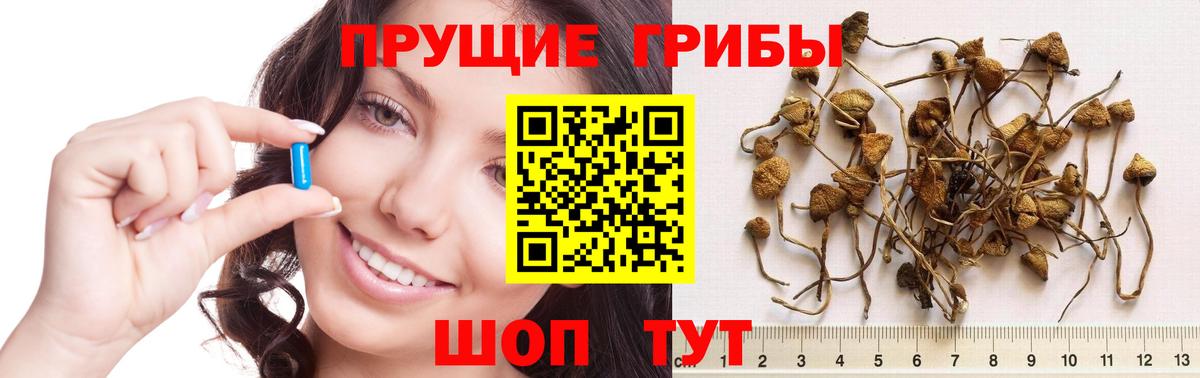 Псилоцибиновые грибы мухоморы Спасск-Дальний